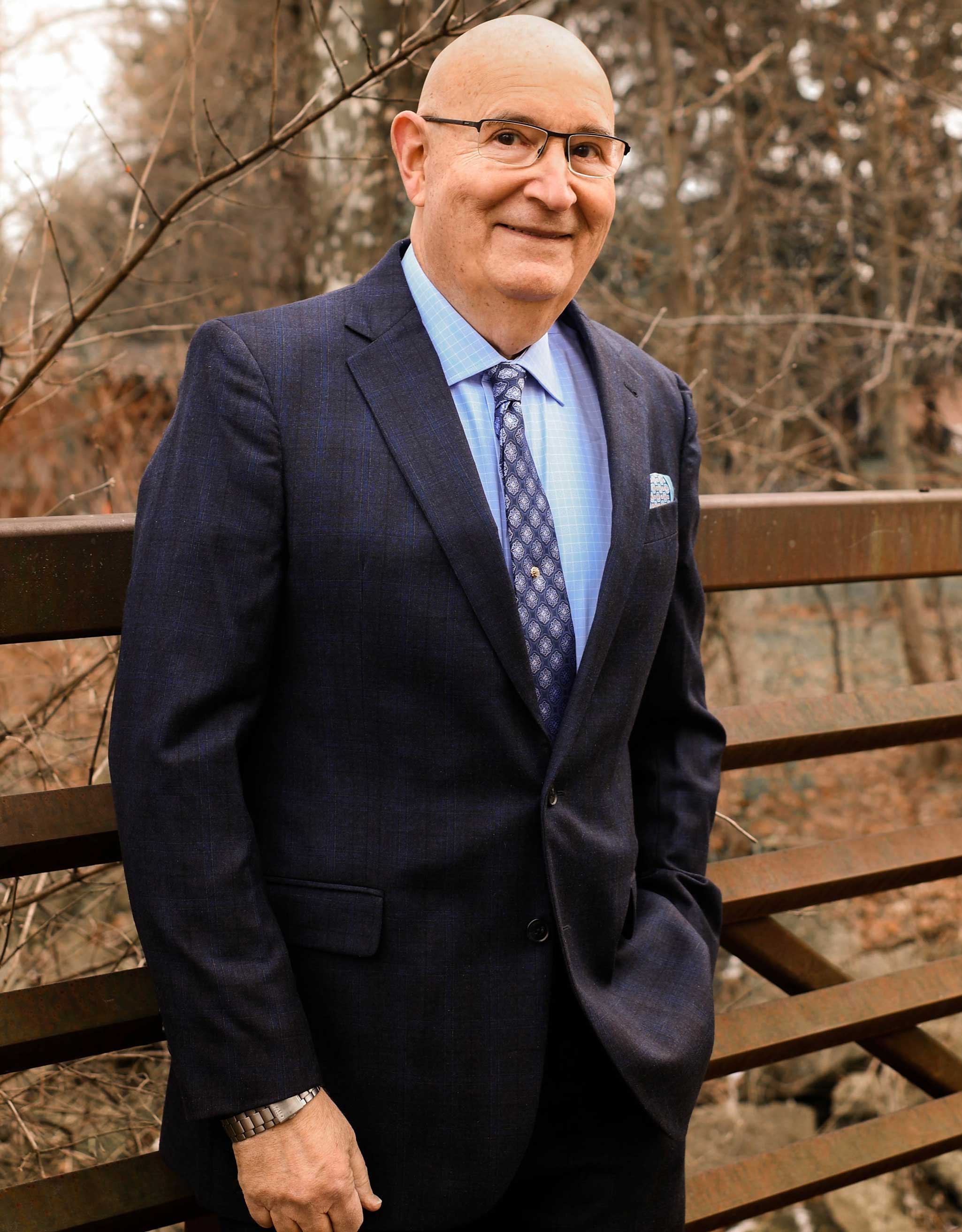 Jay Freedman, DDS, FACD, FICD, FPFA Jay Freedman, DDS, FACD, FICD, FPFA